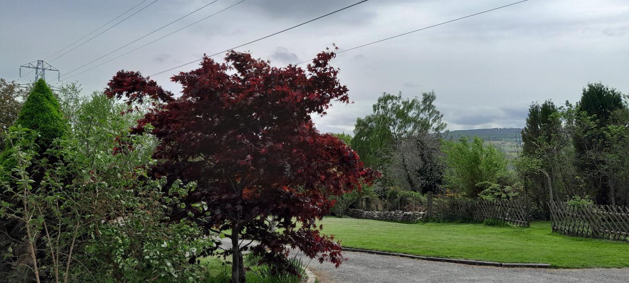 Hillview Hotel Inverness Luaran gambar